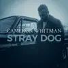 Cameron Whitman - Stray Dog - EP